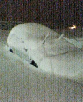 �΂����E�E�E�@�@�@�@�@�@�@�@�@�@�@�@�@�@�@�@�@�@�@�@�@33535(+36)